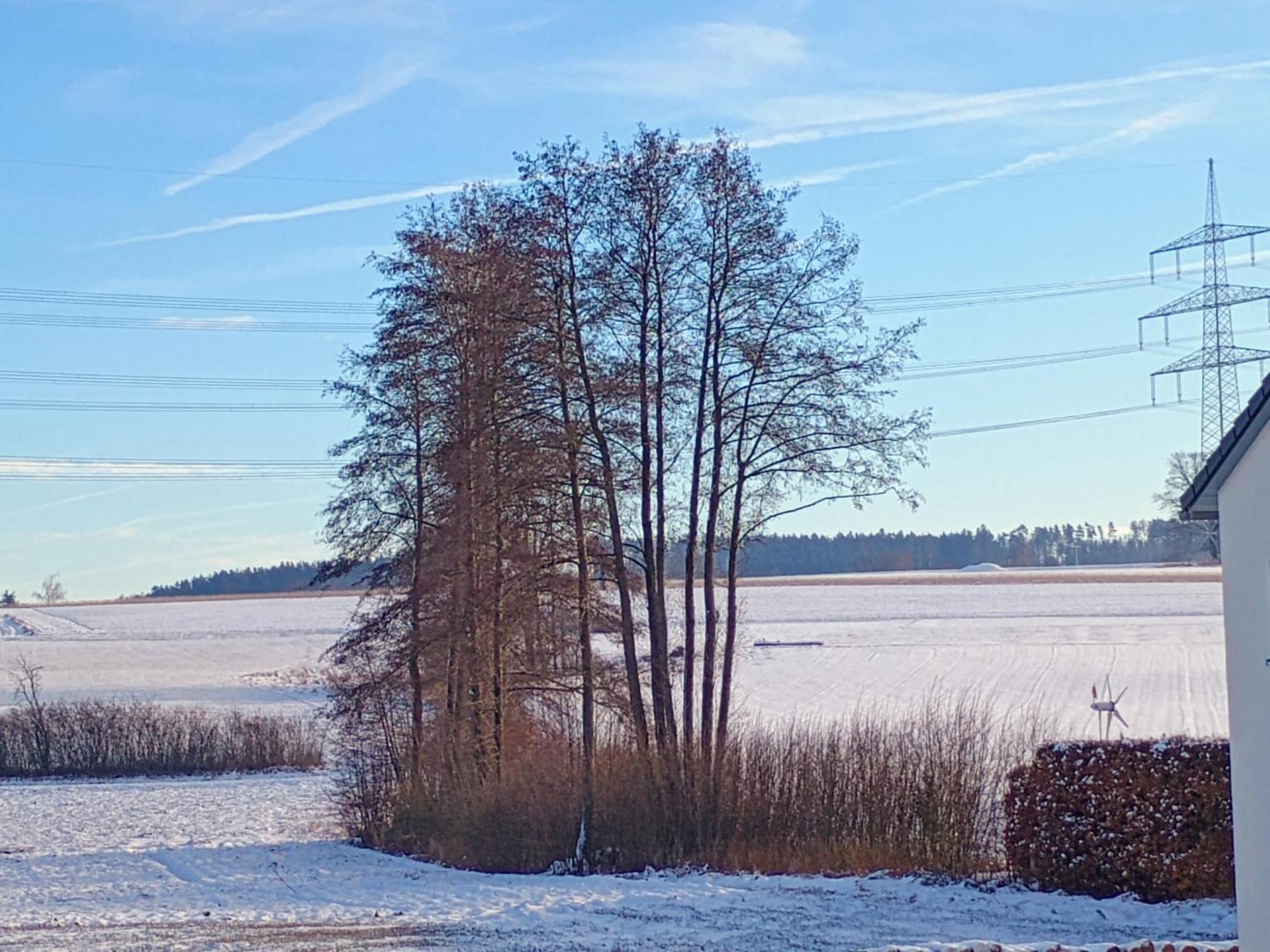 Monteurzimmer Beate Ackermann Hochstadt am Main ภายนอก รูปภาพ