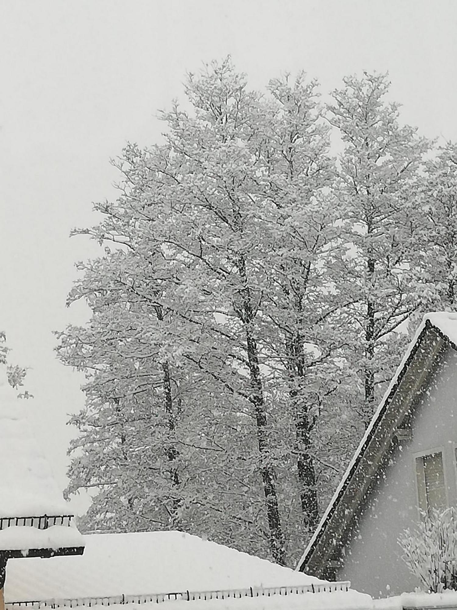 Monteurzimmer Beate Ackermann Hochstadt am Main ภายนอก รูปภาพ