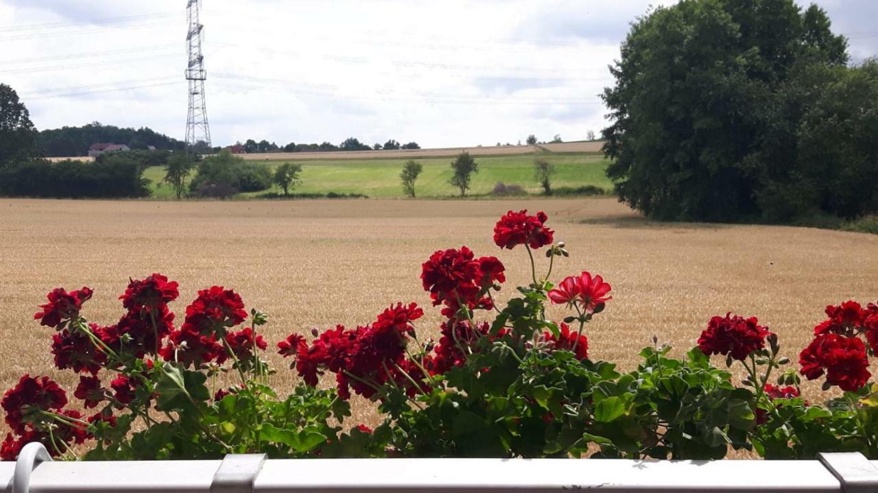 Monteurzimmer Beate Ackermann Hochstadt am Main ภายนอก รูปภาพ